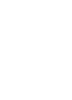 ZI